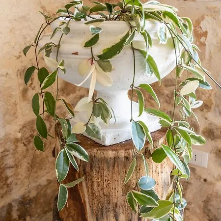 Antica Masseria San Benedetto * Ostuni